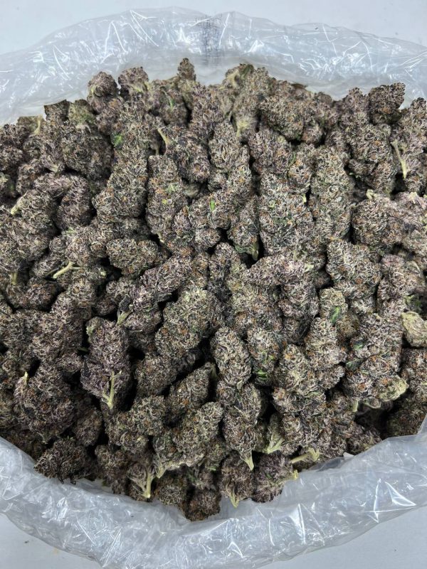BLACK RUNTZ BIG
