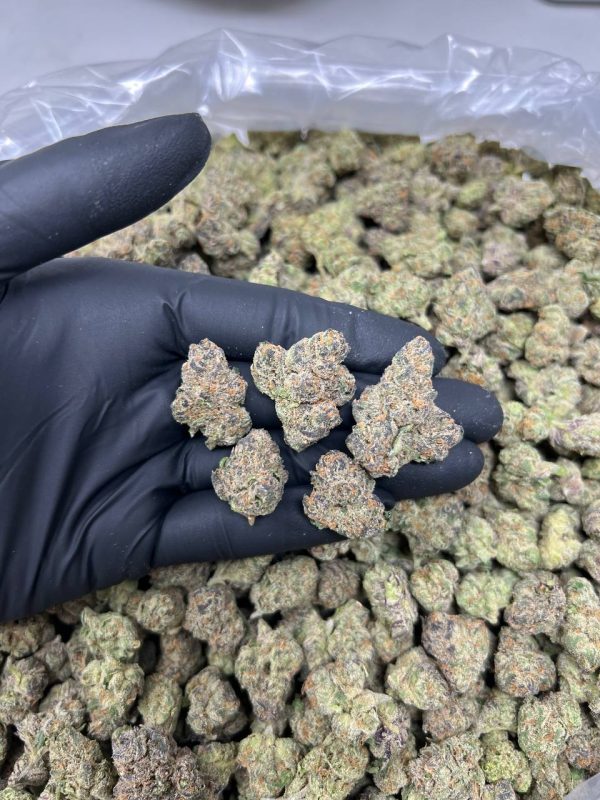 BUBBLE GUM CANDY SMALLS