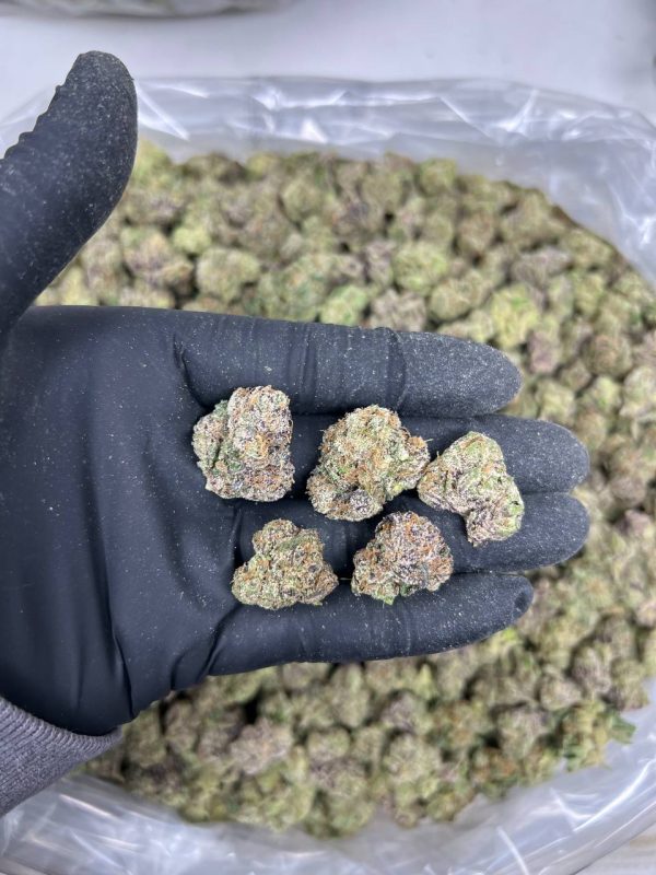 CANDY LAND SMALLS