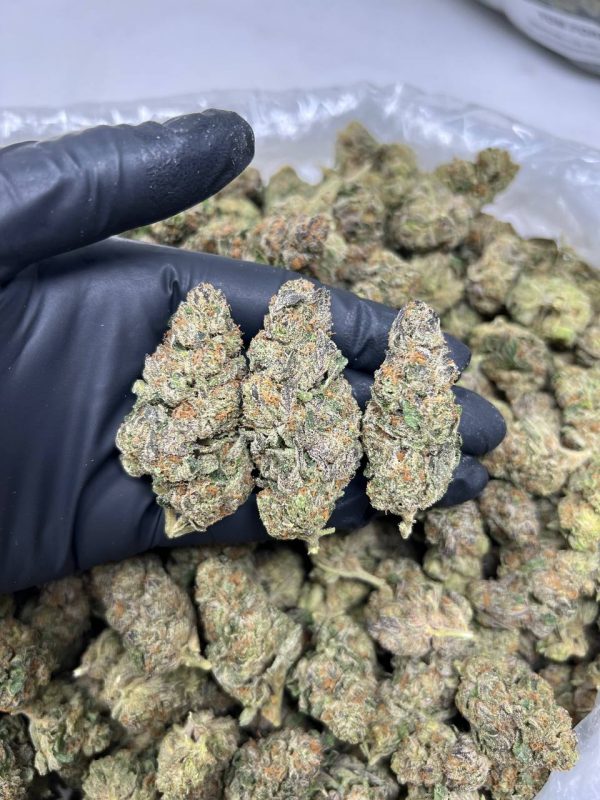 FROSTED FLAKES