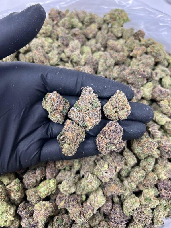 GAS RUNTZ SMALLS