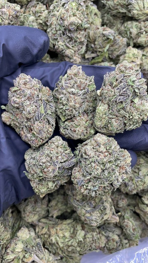 SOUR ZKITTLES #AS82