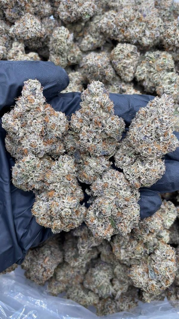 CHIMERA X CANDY GAS #D1154