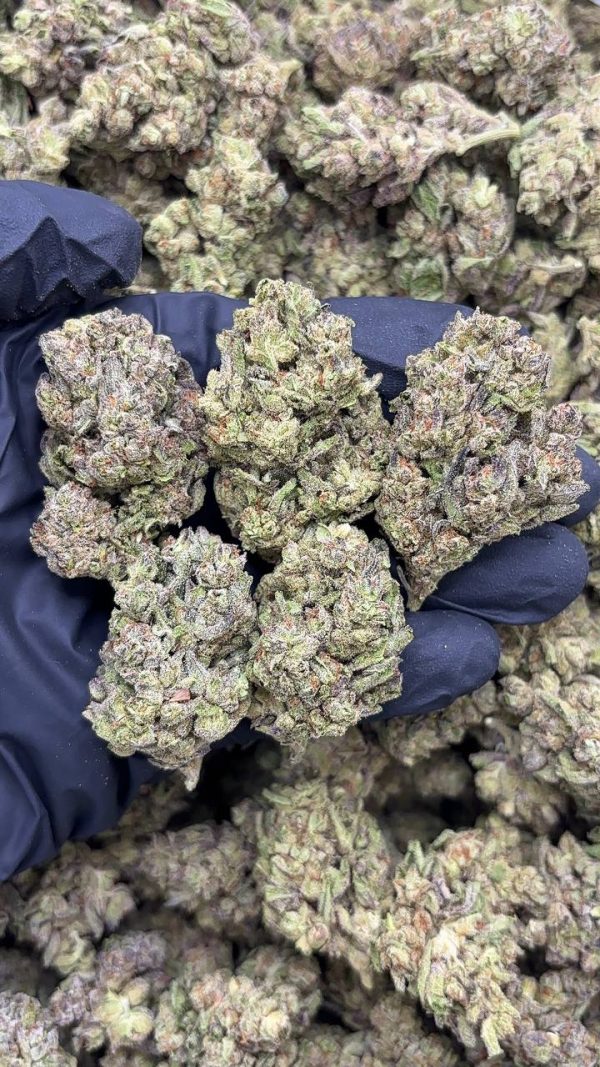 ZKITTLES 41 #DS82