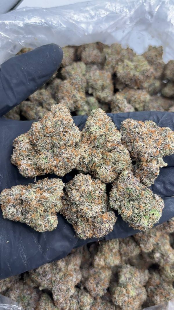 HOOD CANDY #V76