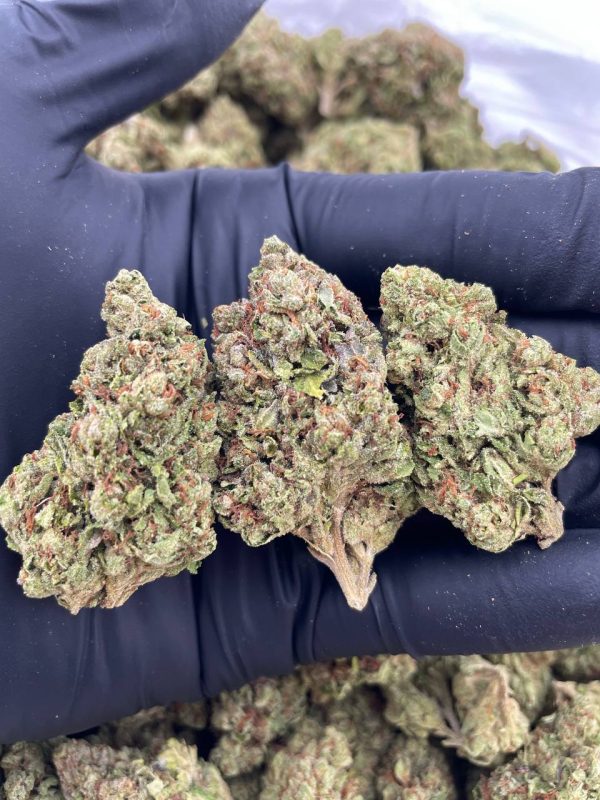 GHOST OG #N3