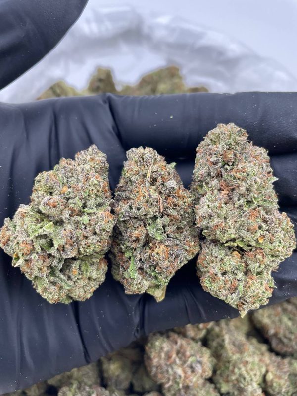 RUSSIAN CREAM #N5