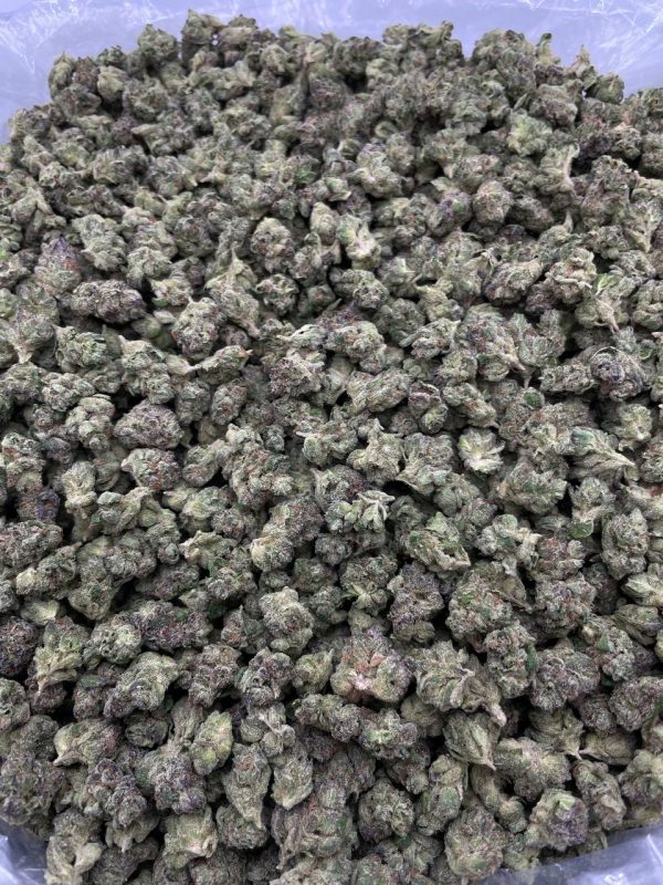 ITALIAN GAS SMALLS #AS124