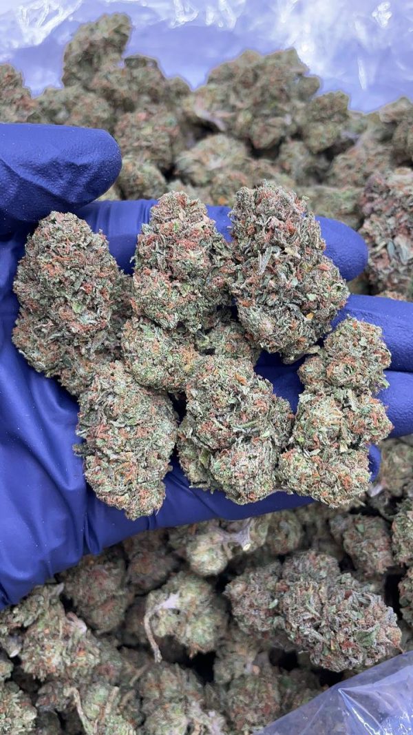 REAL ZKITTLES X GELATO #AS130