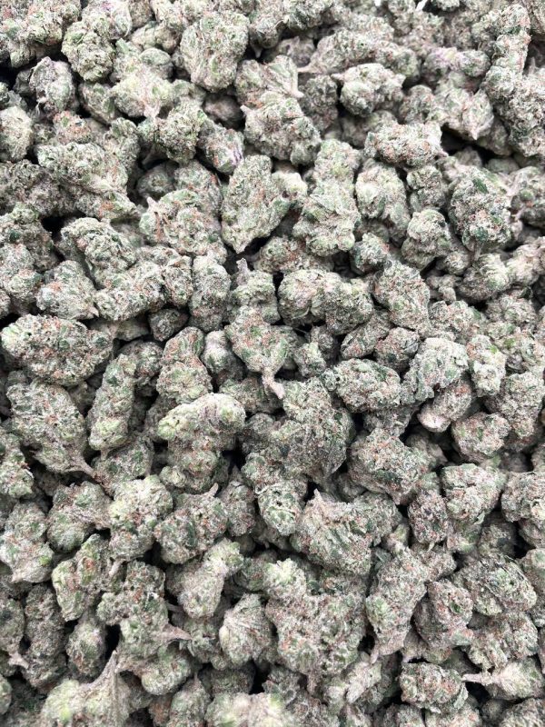 BUBBLEGUM GELATO SMALLS #D1230