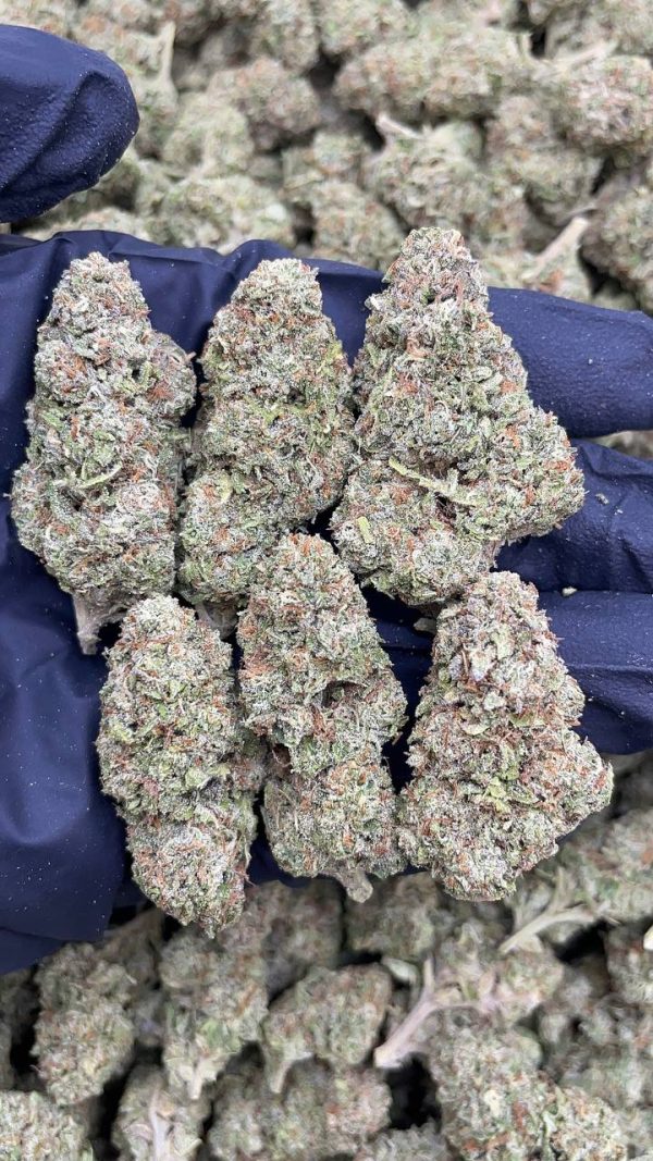 SOUR ZOAP #D1238
