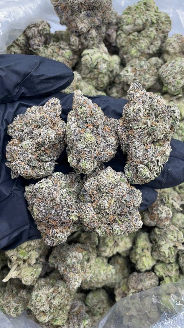 LEMON CHERRY SLAPZ #D1287