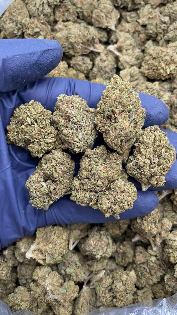 SKY OG #D1315