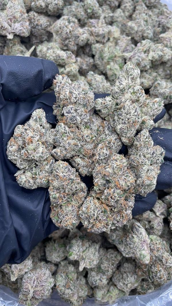 MYLAR MAGIC MEDS #P22-A1106