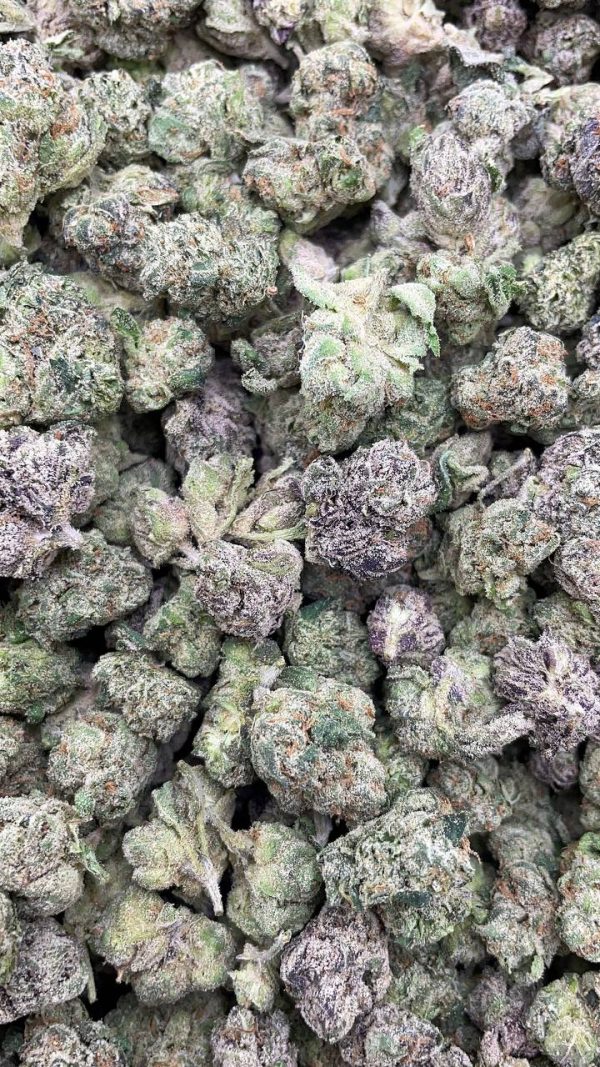 LEMON CHERRY RUNTZ SMALLS #V81
