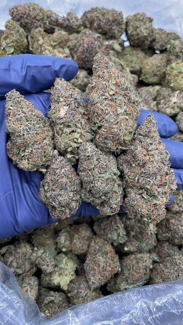 BLUE TSUNAMI #V83