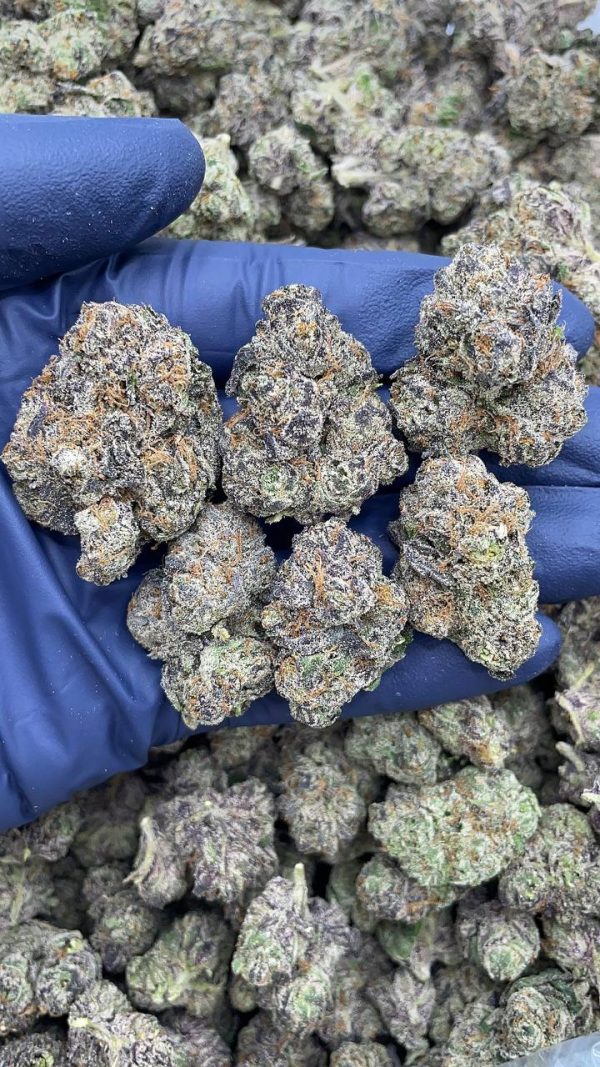 OBAMA RUNTZ EXOTIC MEDS #V93