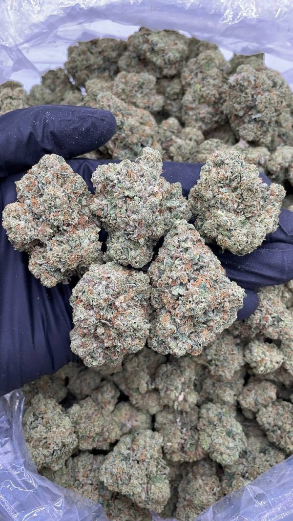 SFV OG #A1169