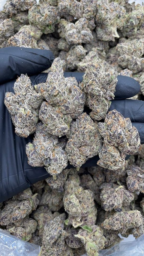 CANDY POPPERZ BY LAX #A1178
