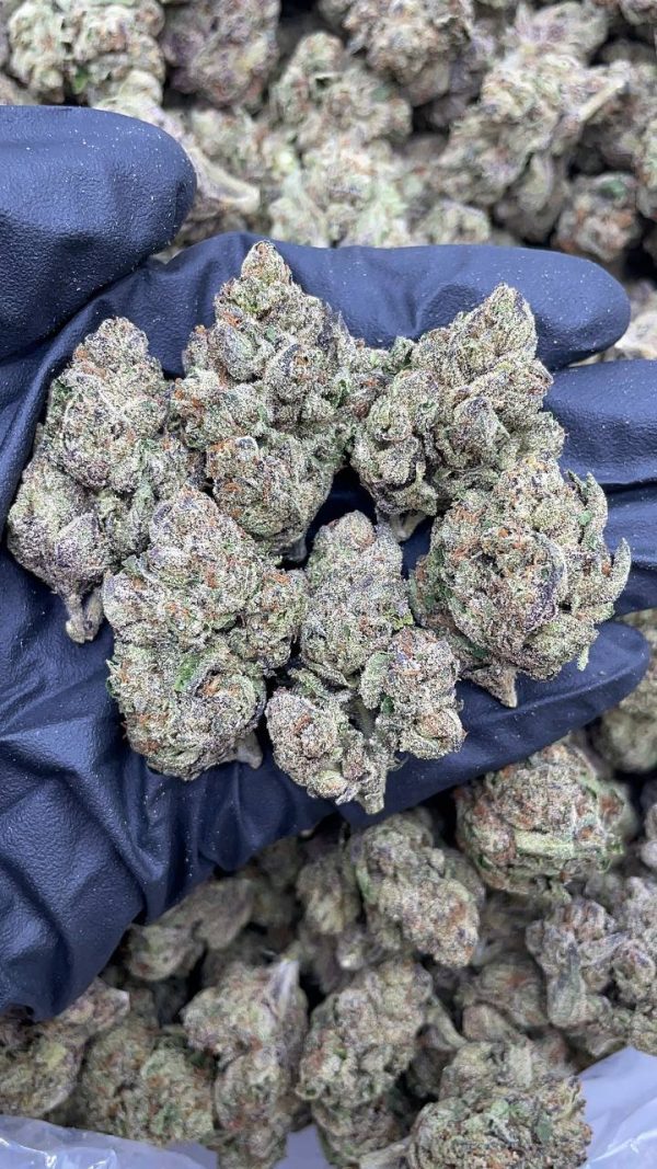 REAL ZKITTLES #D1370