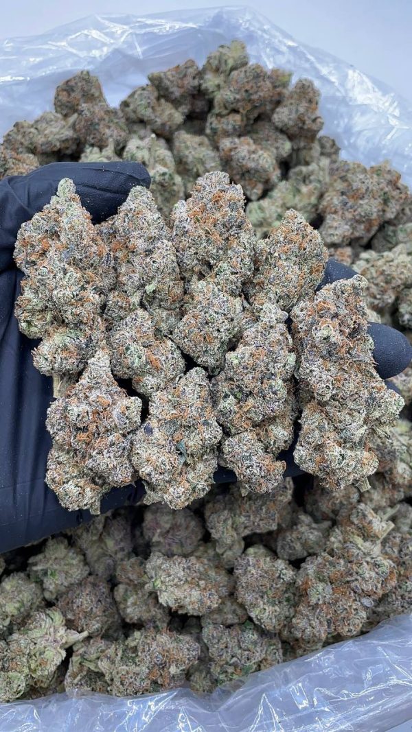 BLUE LEMON CHERRY #D1406