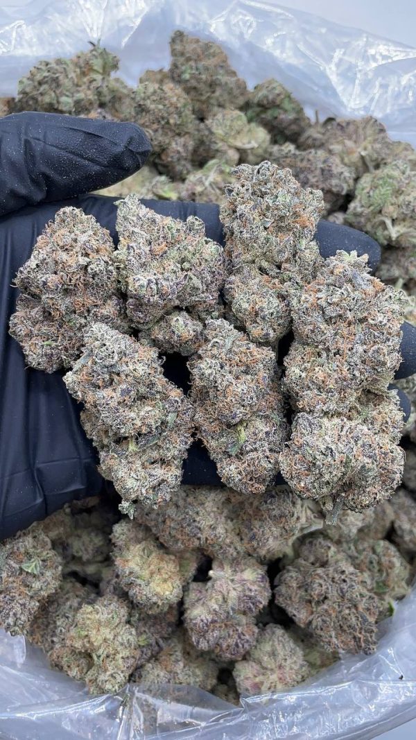 GRAPE PIE GELATO #D1407