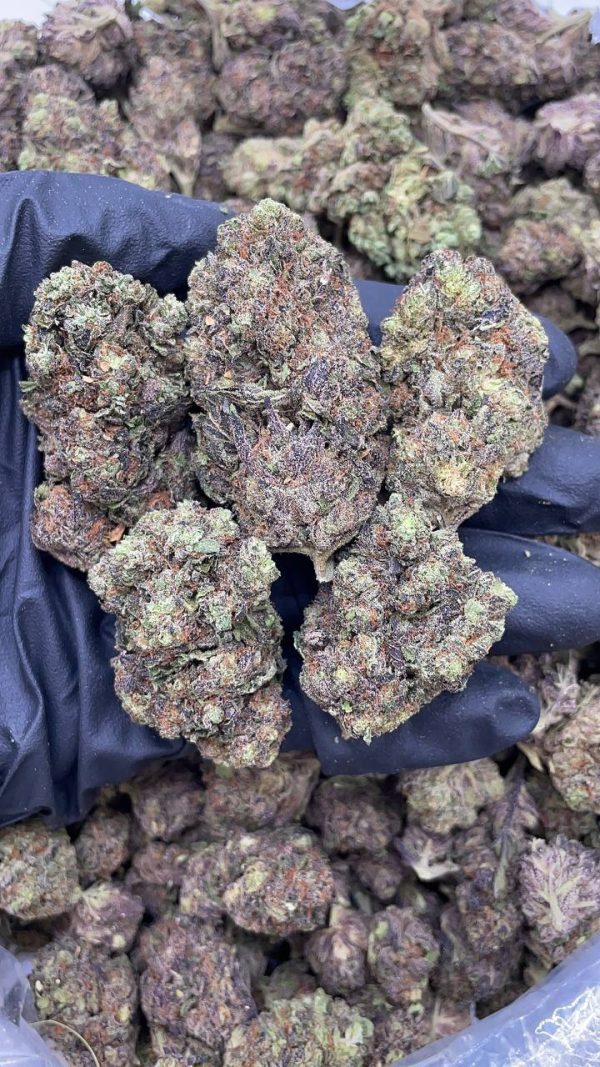PURPLE MOCHI #DS132