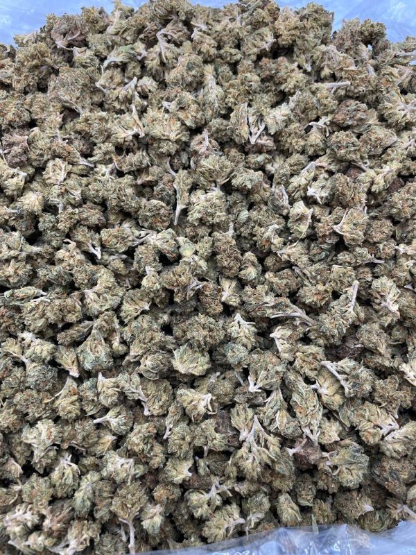 GREENCRACK SMALLS #DS144