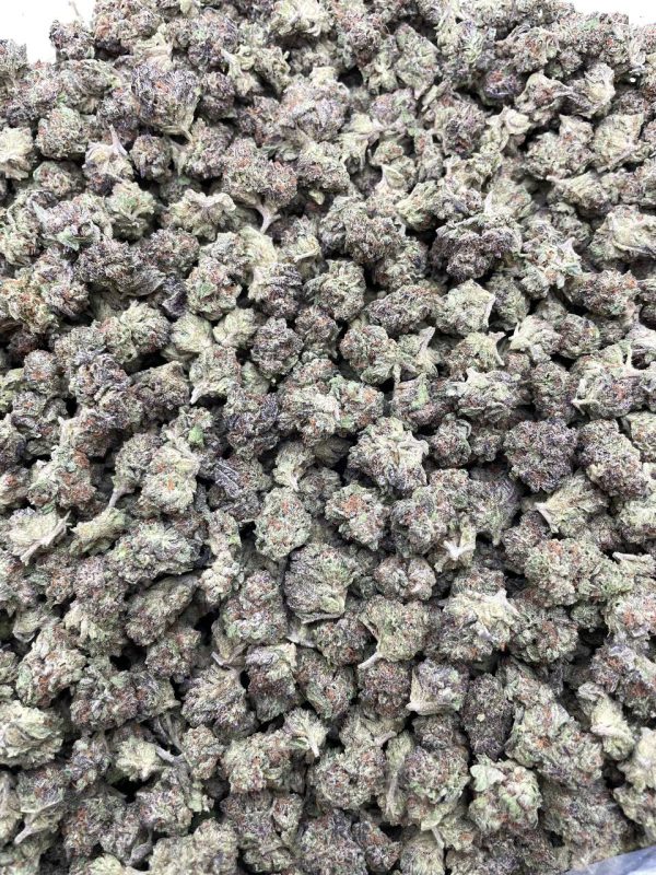 PURPLE MOCHI SMALLS #DS187