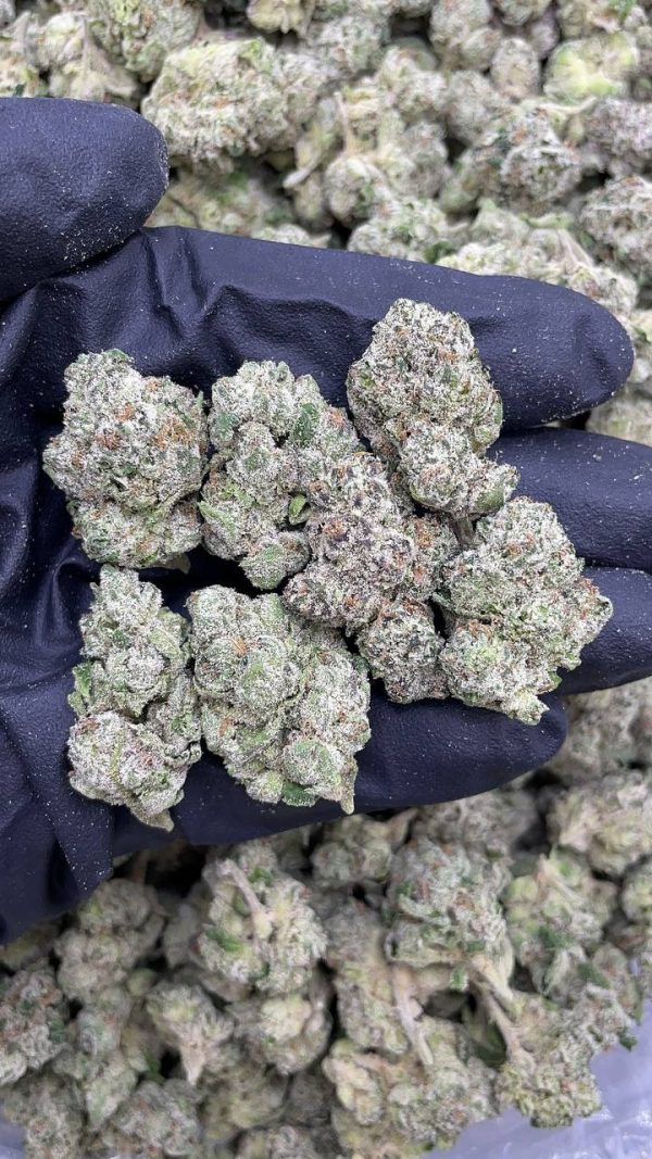 SUPER CANDY RUNTZ #P25-A1153