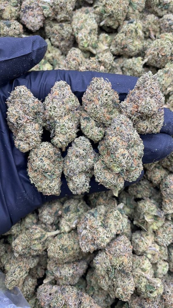 REAL LEMON CHERRY #V117