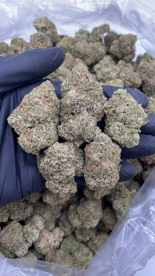 BUBBLEGUM ZKITTLES #DS253