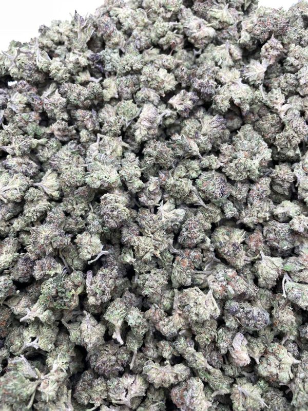 FREEZER SMALLS #DS256