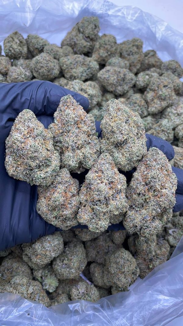 MARTIAN CANDY OG #L10