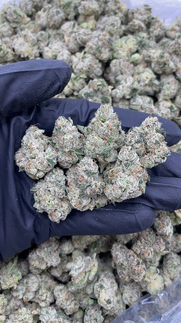 LEMON DIOR MEDS #P28-A1251